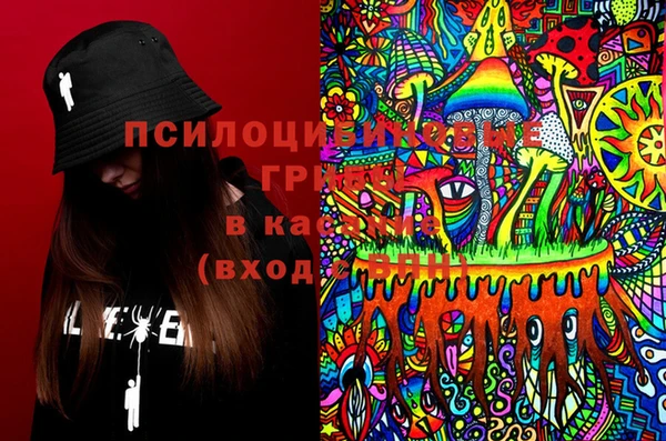 2c-b Абдулино