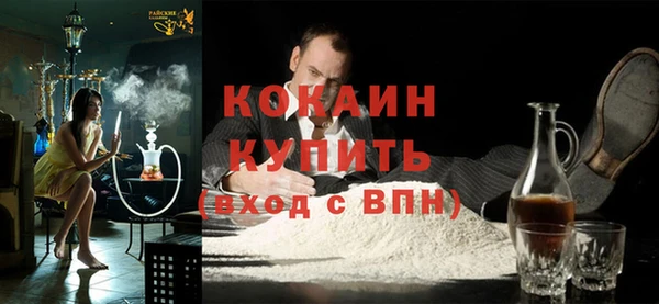твердый Михайлов